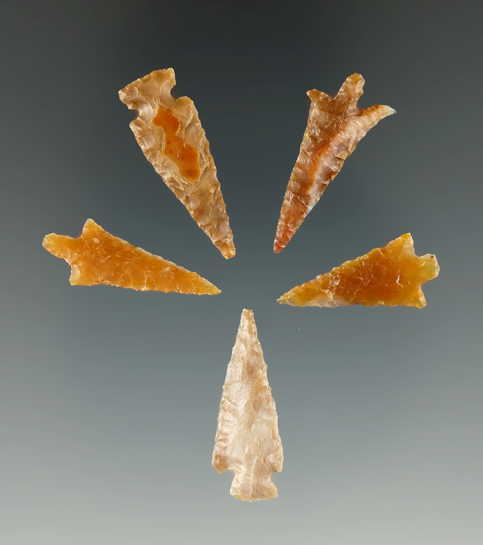 Set of five Columbia River Gem points very nice condition, largest is 1 1/16".