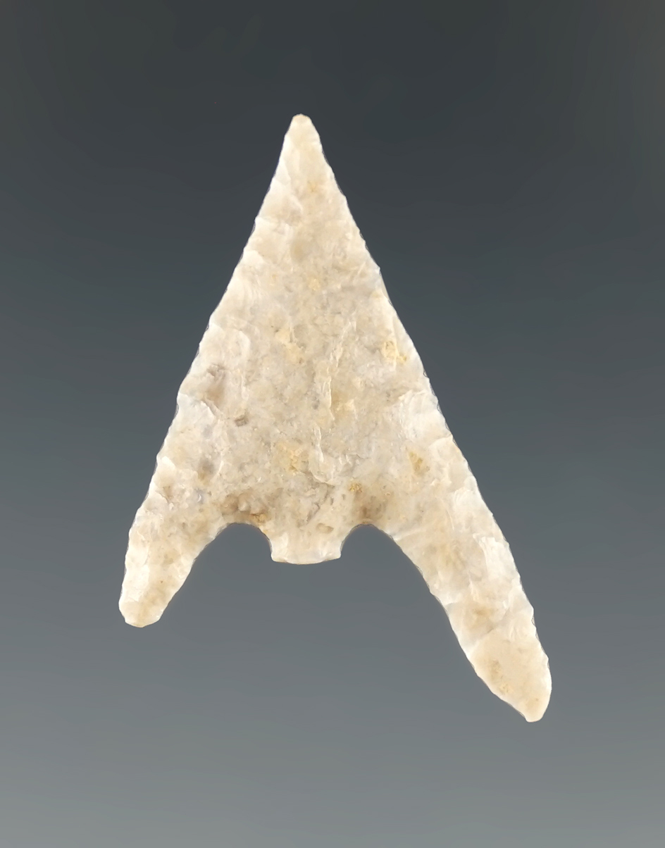 1 5/16" Gunther with a snapped base and a very long ear found in southern Oregon.