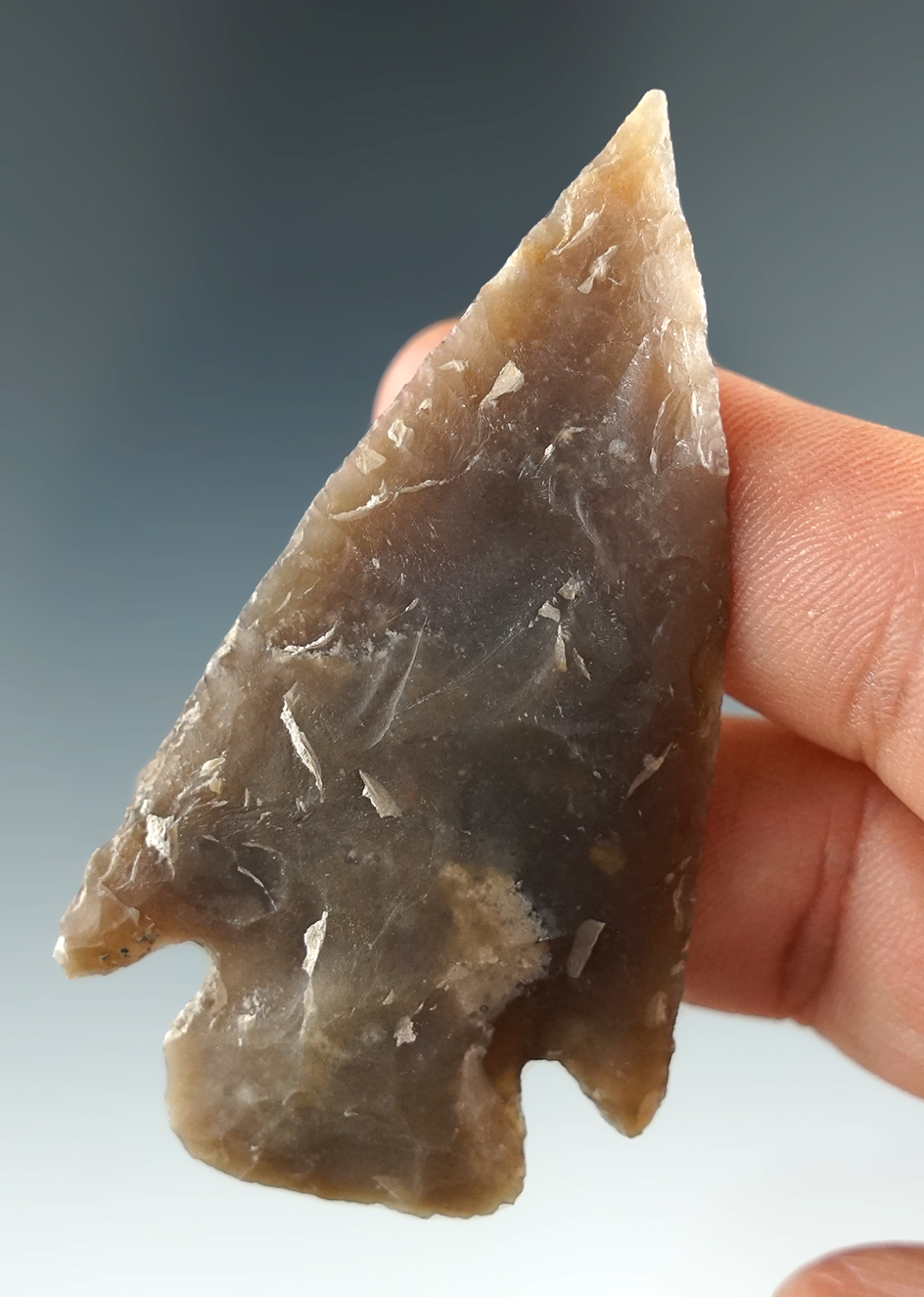 2 5/8" Williams point found in Central Texas.