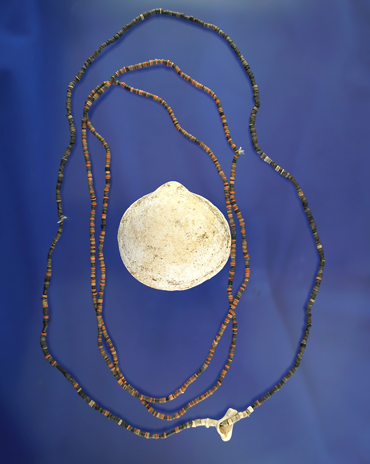 Main artifact image