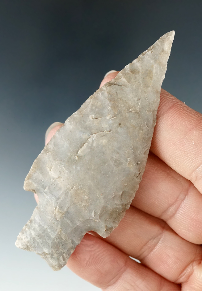 Ex. Museum! 3" Bulverde with a needle tip found in Texas.