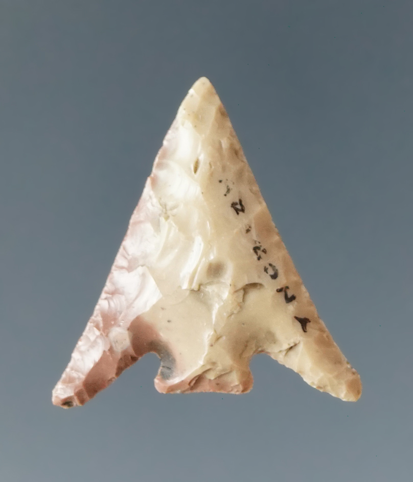 Main artifact image