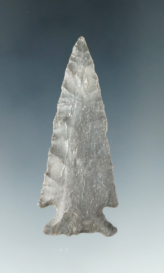 Ex. Museum! 2 1/4" Ensor point found in Texas.