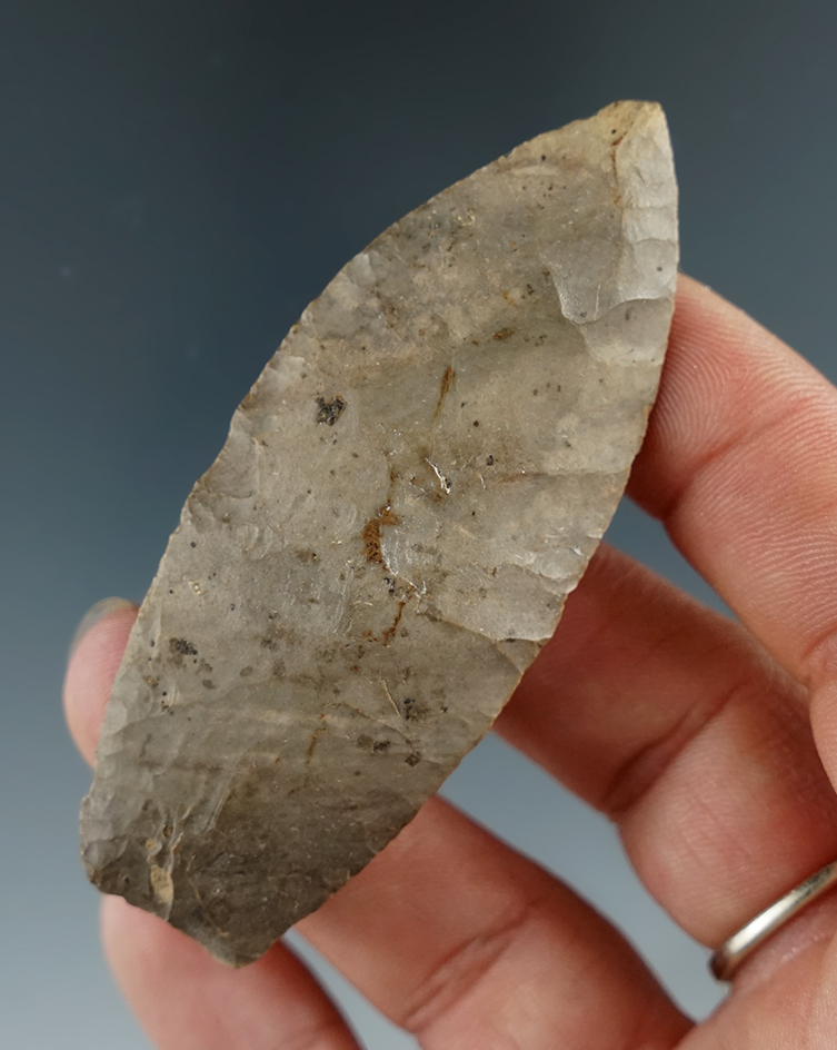 2 7/8" Paleo Lanceolate found in Delaware Co., Ohio. Ex. Hooks.