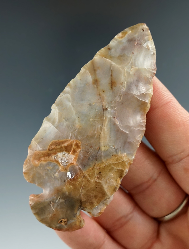 3 1/16" Highly colored Flint Ridge Dovetail. Found in Alexandria, Ohio.