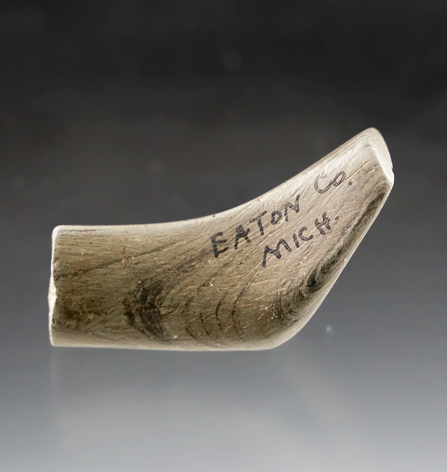Main artifact image