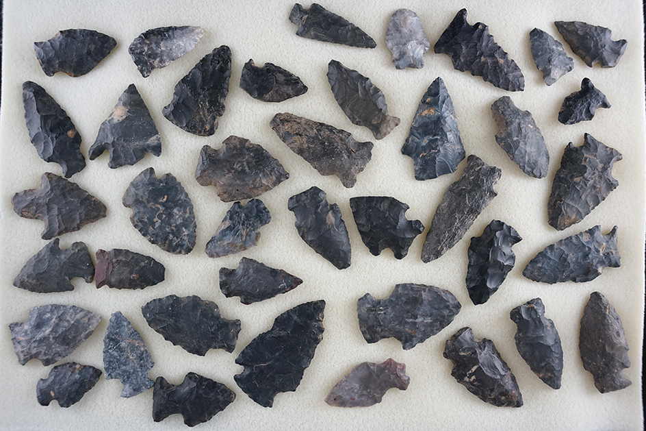 Large group of Coshocton Flint arrowheads, largest is 2 1/8".