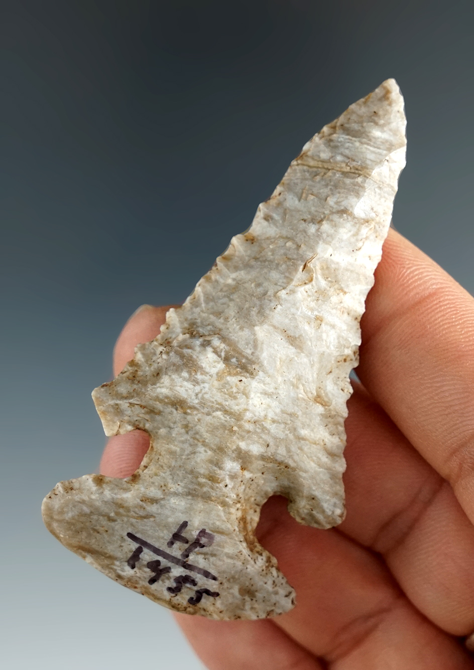2 11/16" Archaic Thebes E-Notch Bevel made from Coshocton Flint found in Wood Co., Ohio.