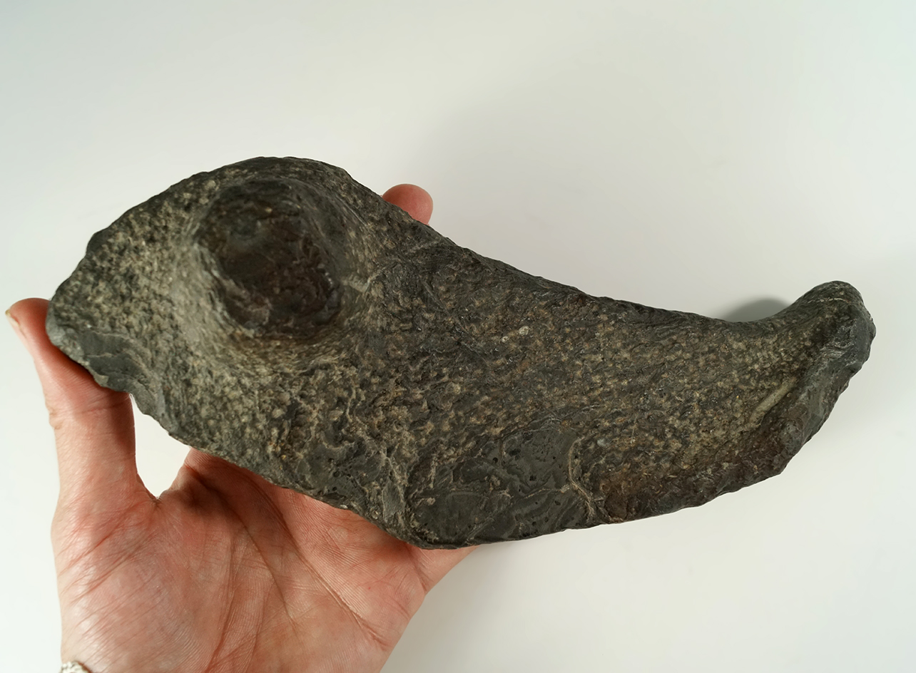 Main artifact image