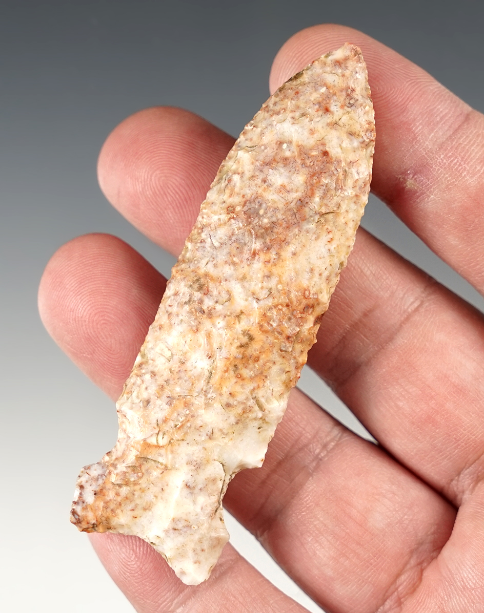 Main artifact image