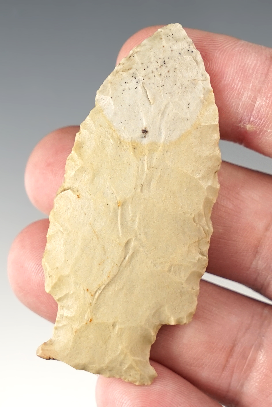 Nice 2 1/2" Carter Cave Paleo Stringtown Lance, found in southern Ohio.