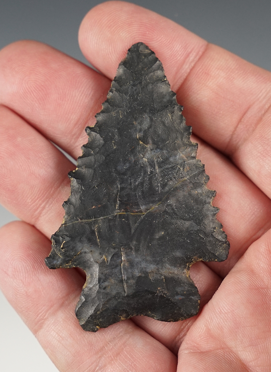 2 9/16" well serrated MacCorkle Bifurcate found in Hocking Co., Ohio.