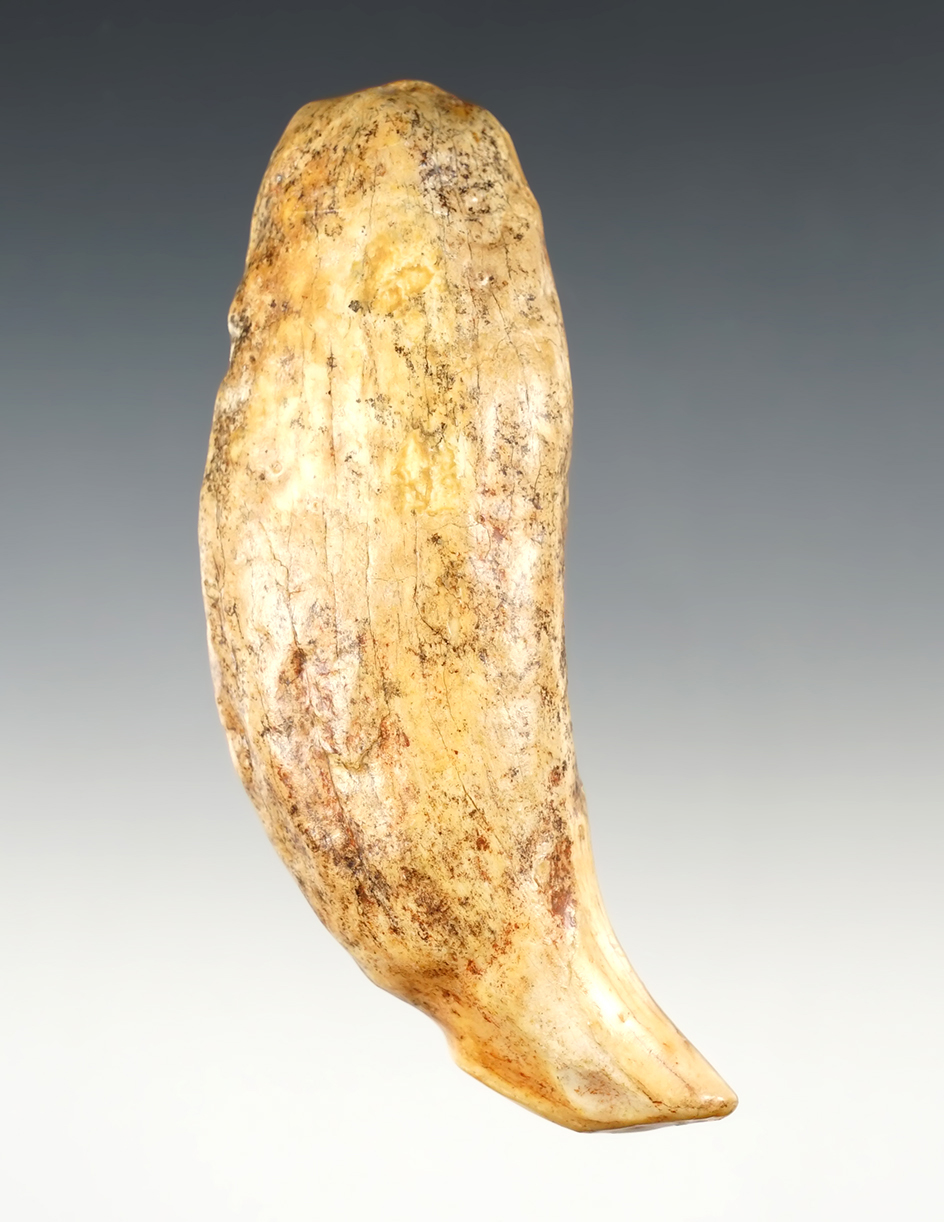 Main artifact image