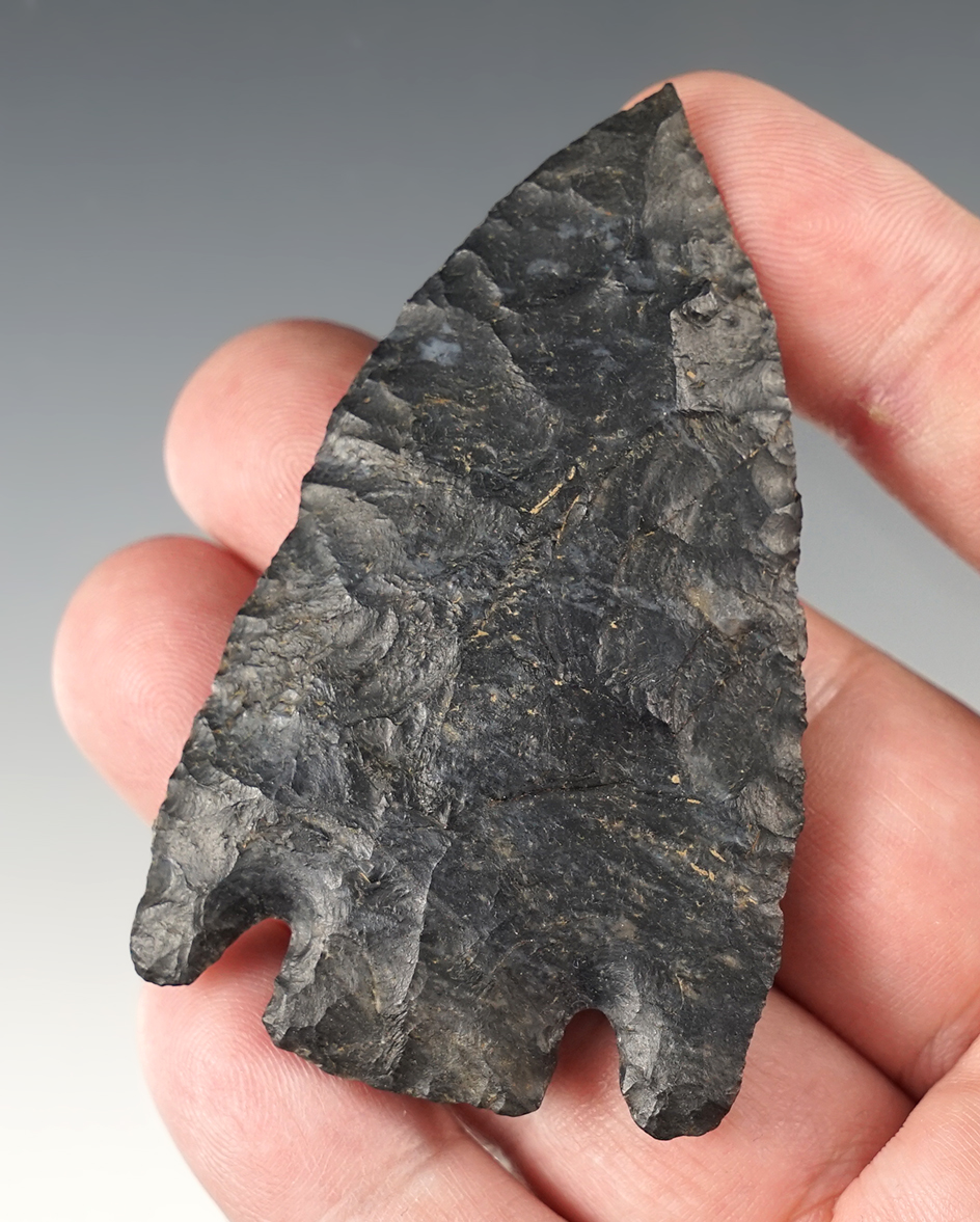 2 7/8" Coshocton rare Basal Notch Point. Nice needle tip. Found in Madison Co., Ohio.