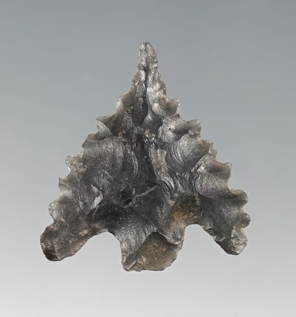Main artifact image