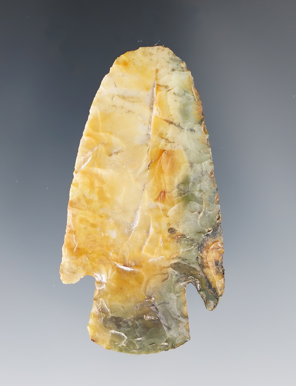 Main artifact image
