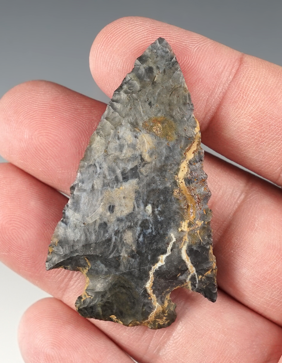 Exceptionally well flaked 2 1/4" Archaic Corner Notch. Richland Co., Ohio. Ex. Jack Hooks.
