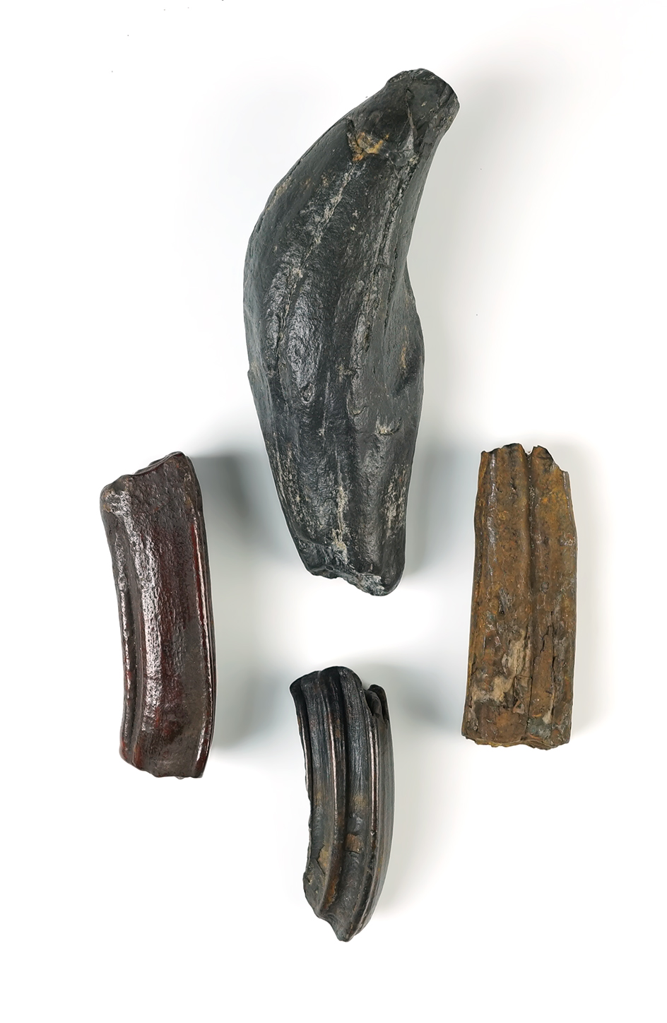 Main artifact image
