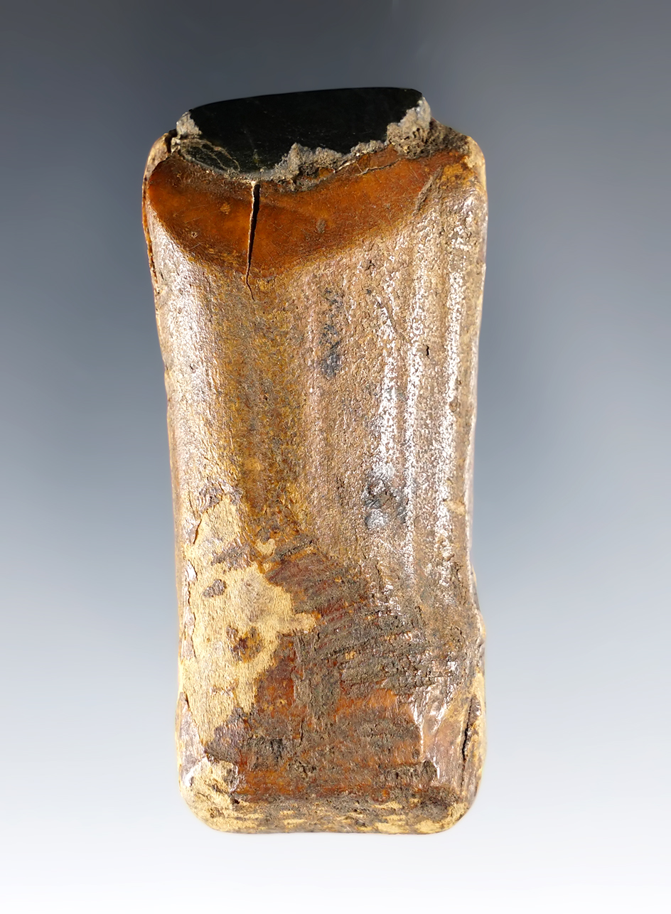 Main artifact image