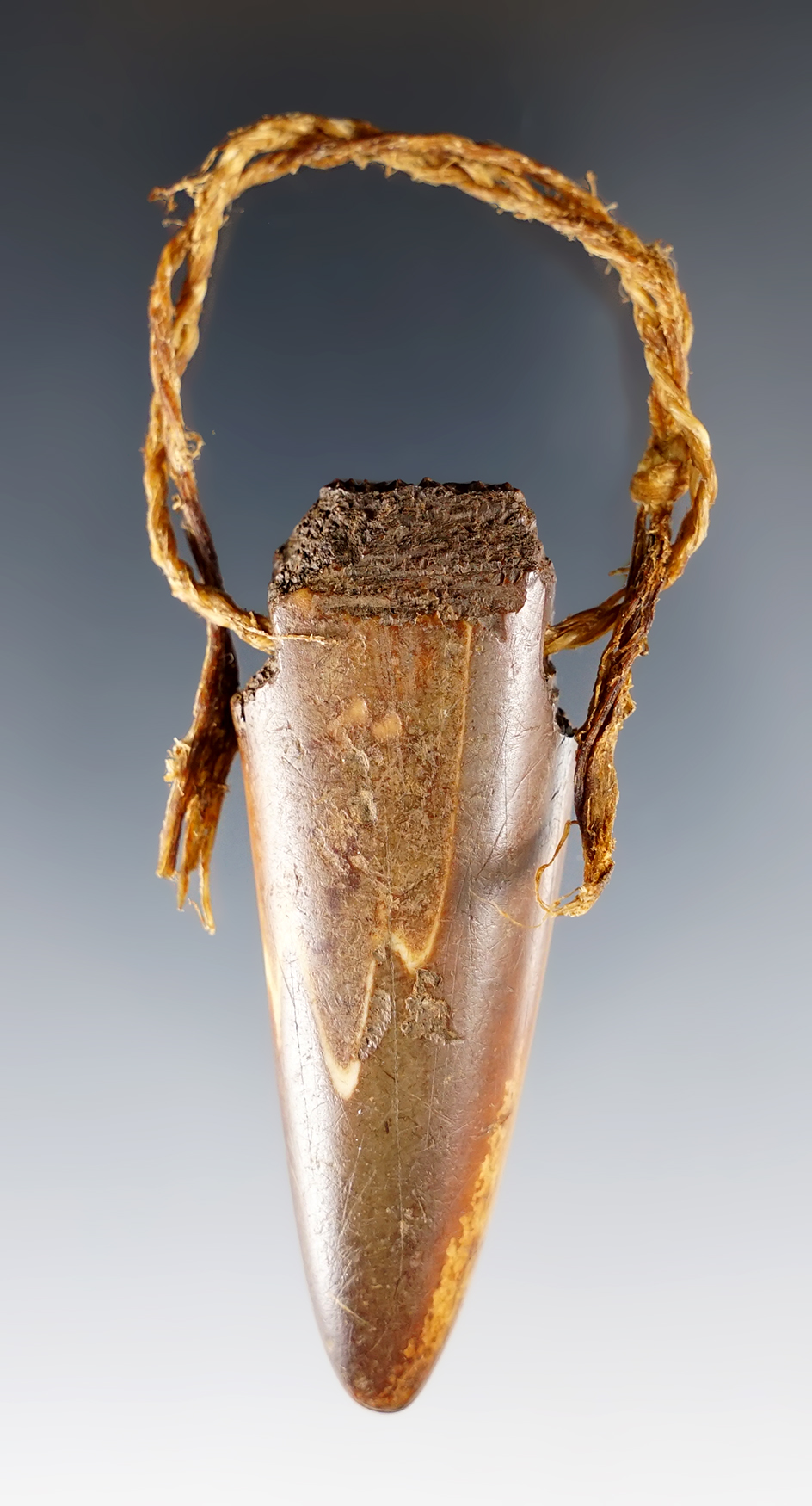 Main artifact image