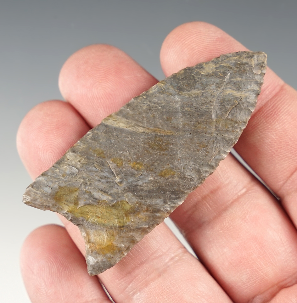 Superb! 2 1/2" Paleo Fluted Clovis found by Woods Gray in Huron Co., OH. Pictured. Ex. Hooks.