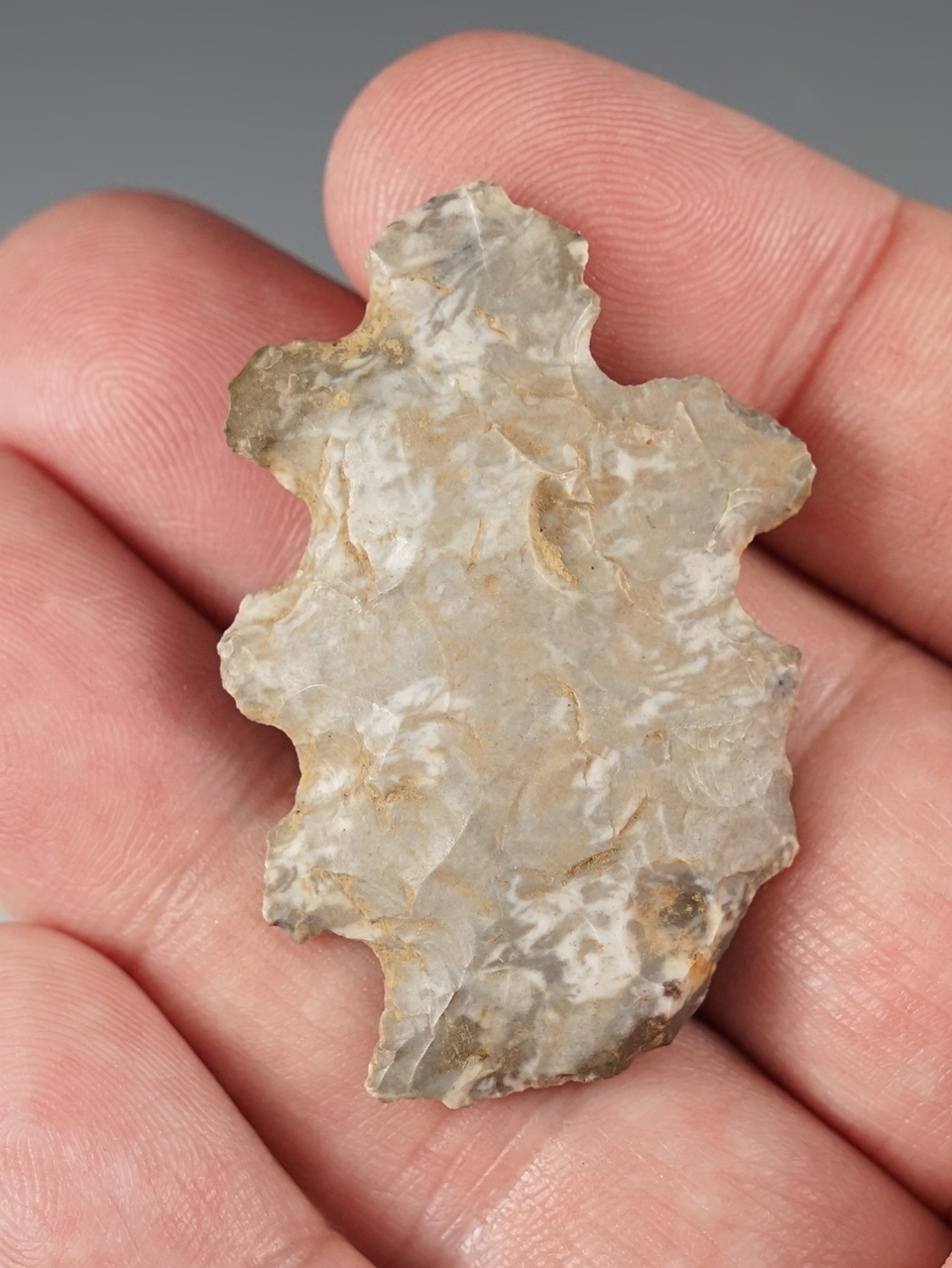 Main artifact image