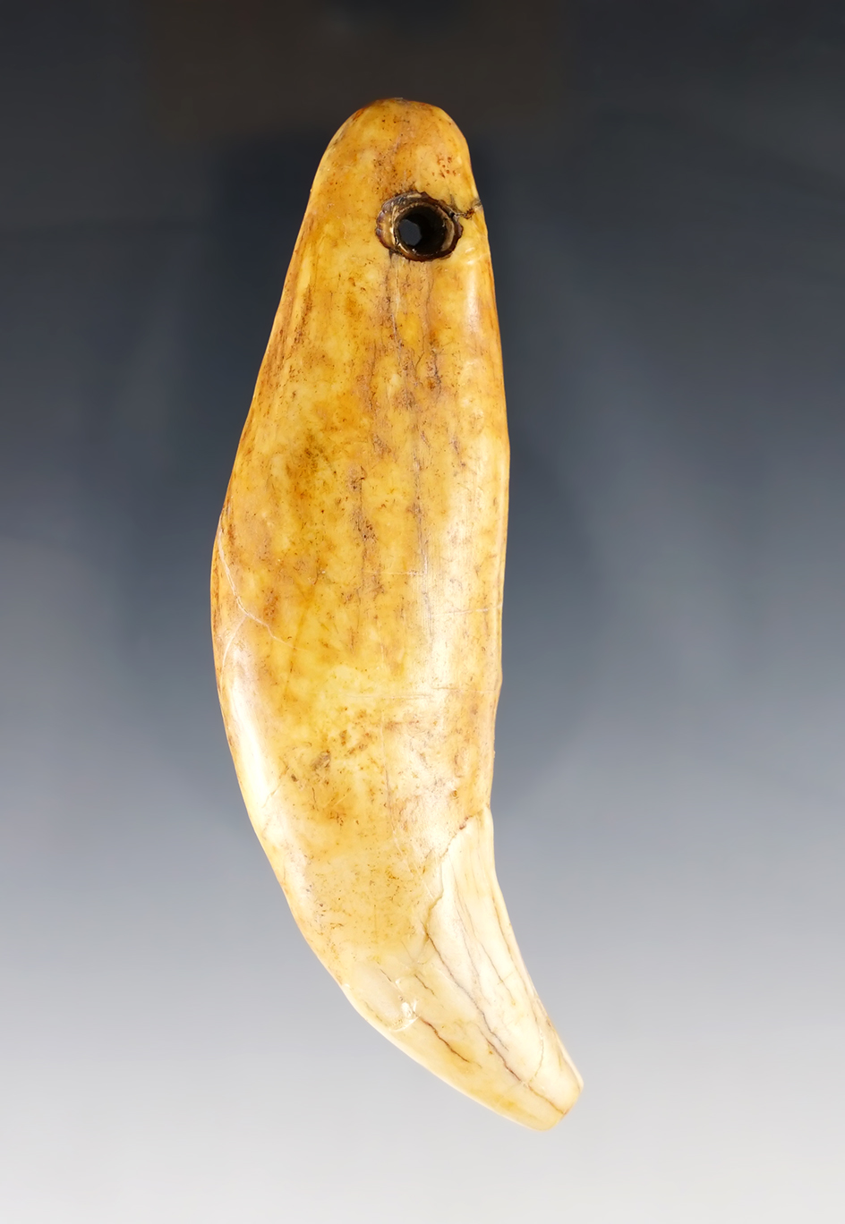 Main artifact image