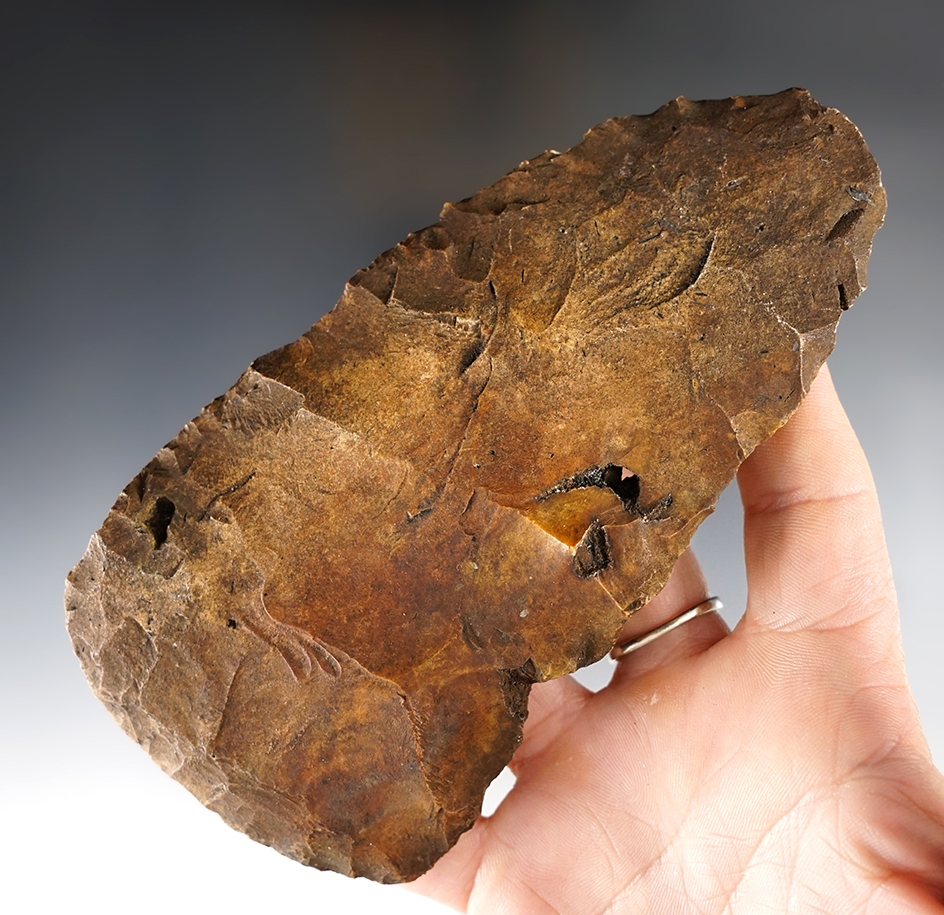 Main artifact image