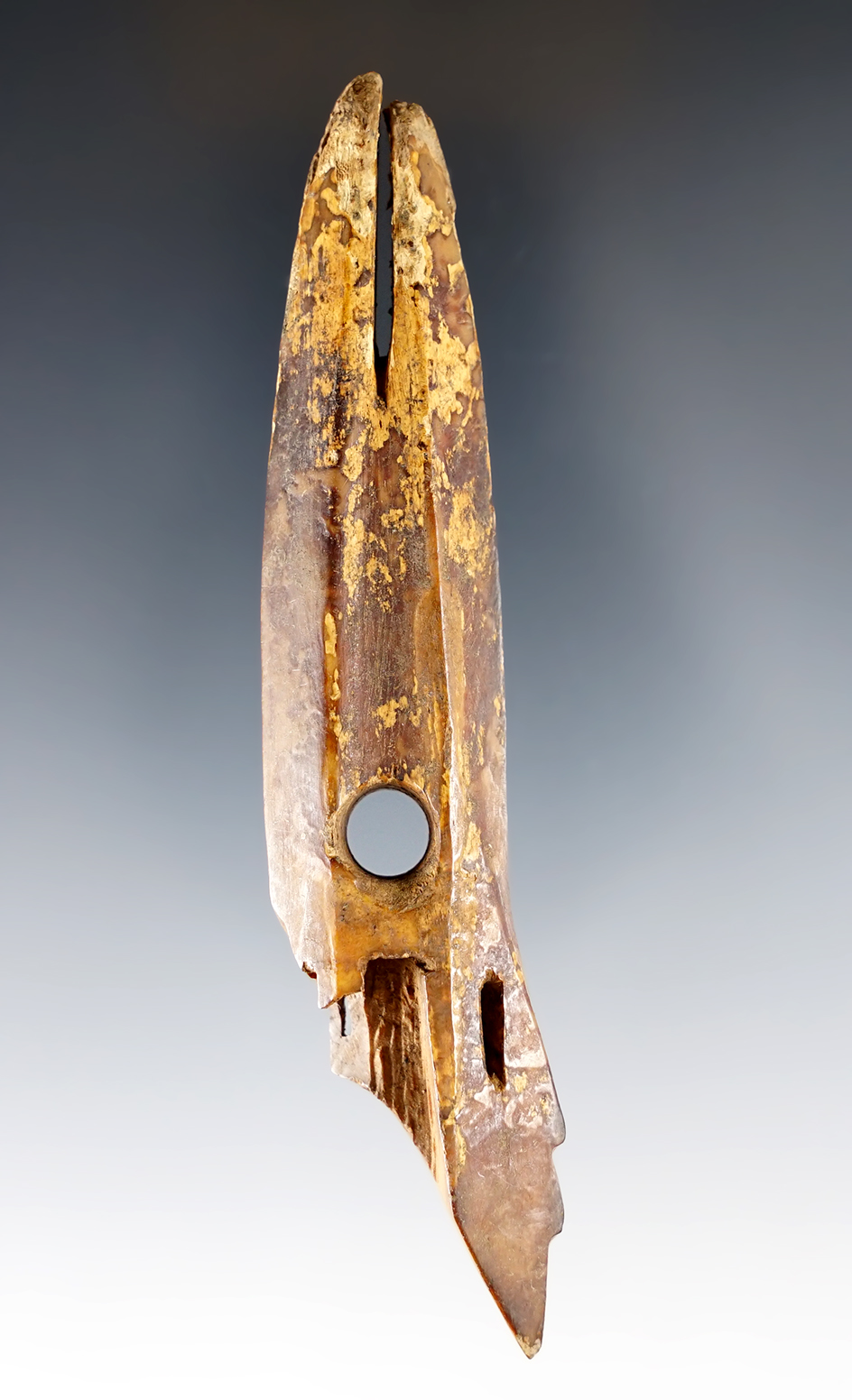 Main artifact image
