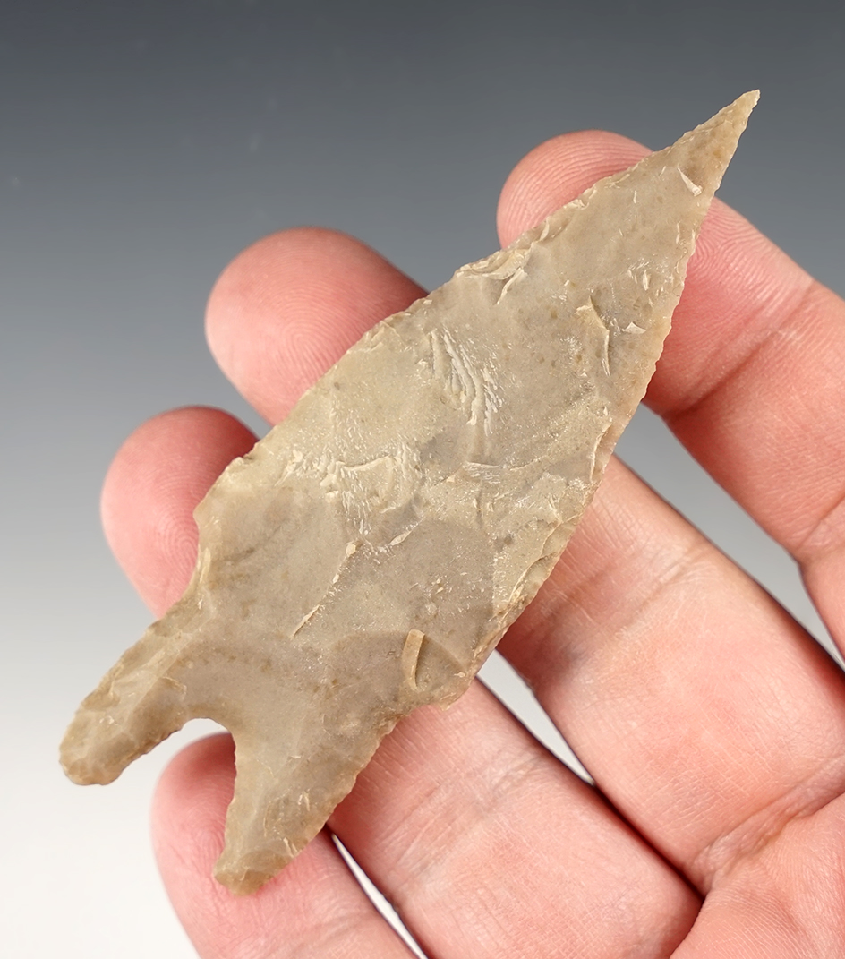 Nice 3 7/16" Pedernales found in Bandera Co., Texas. Ex. Bill Arnold collection. Rogers COA.
