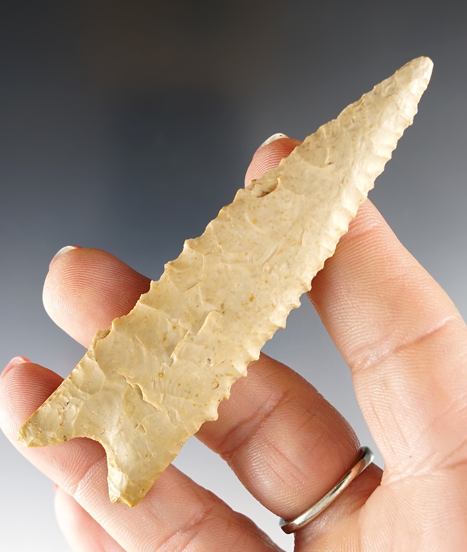 Main artifact image
