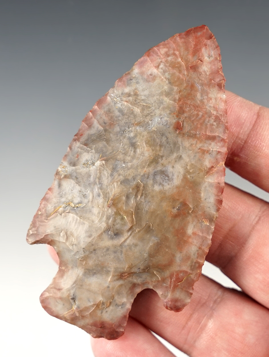 Superb! 3 1/4" Nethers Archaic Broadblade Point found in Crawford Co., Ohio.