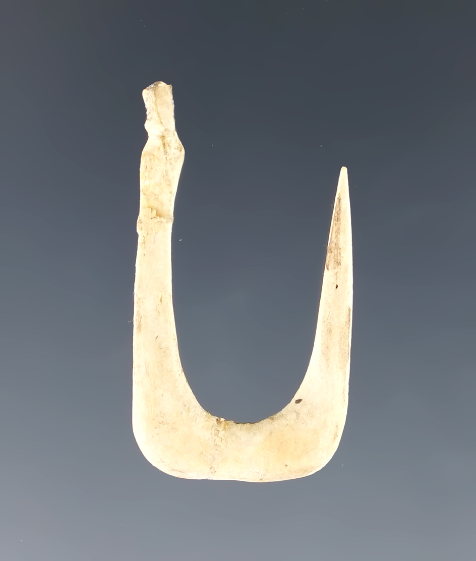 Main artifact image