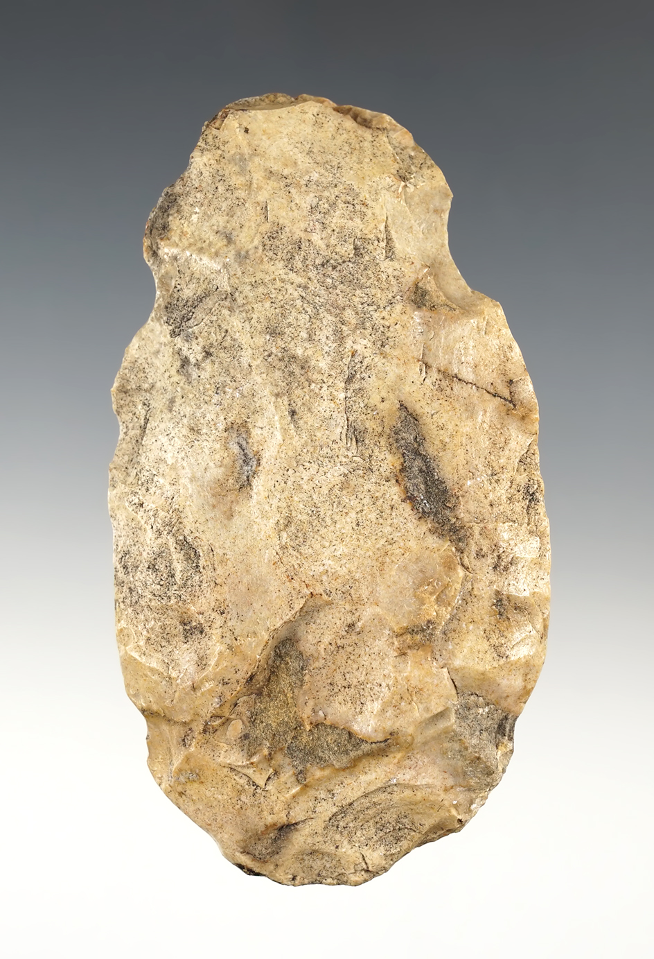 Main artifact image
