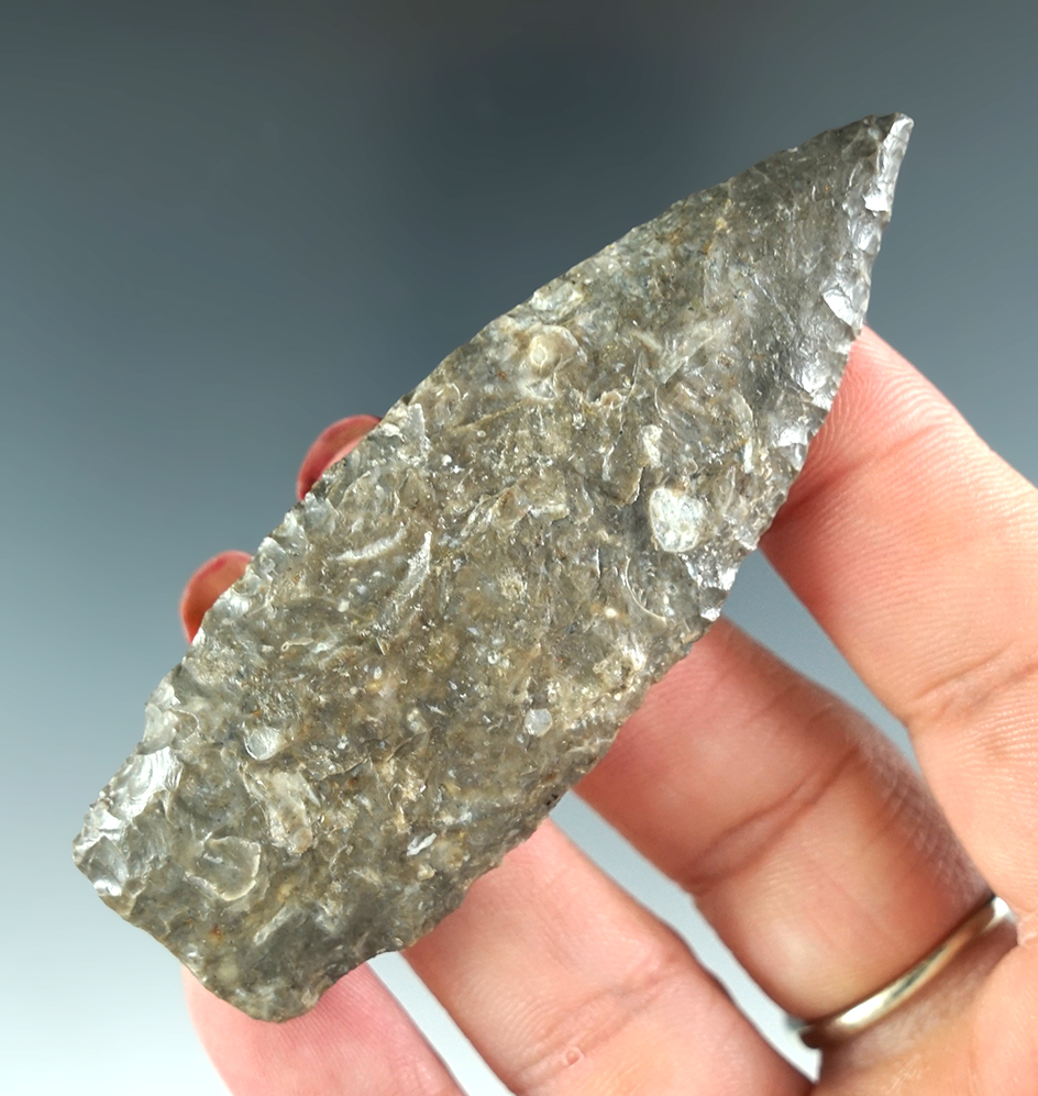 Main artifact image