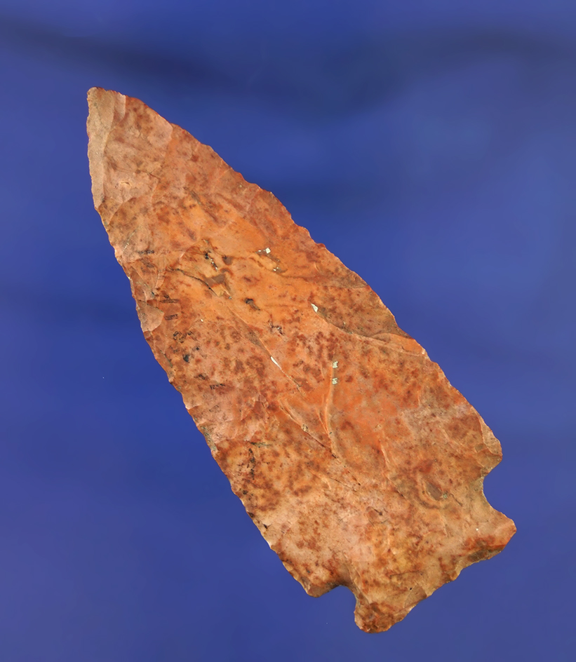 Main artifact image