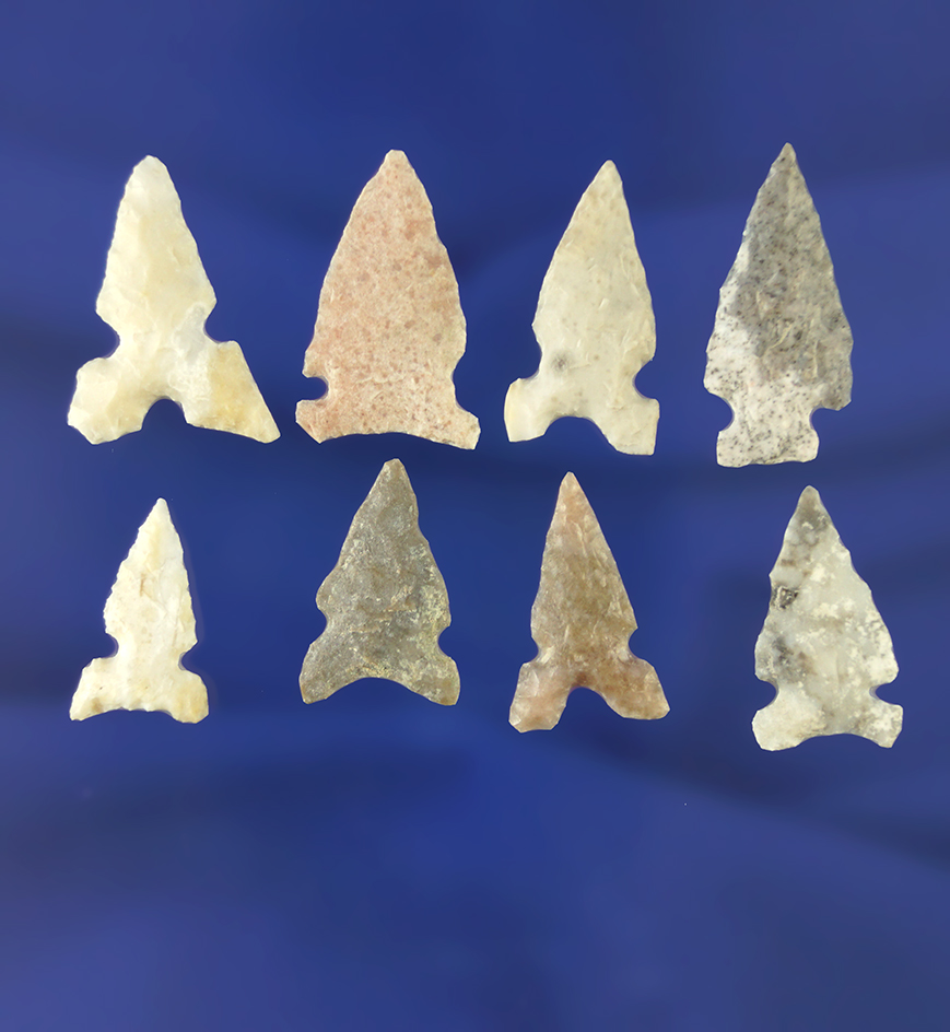Set of eight assorted bird points found in Texas, largest is 15/16".