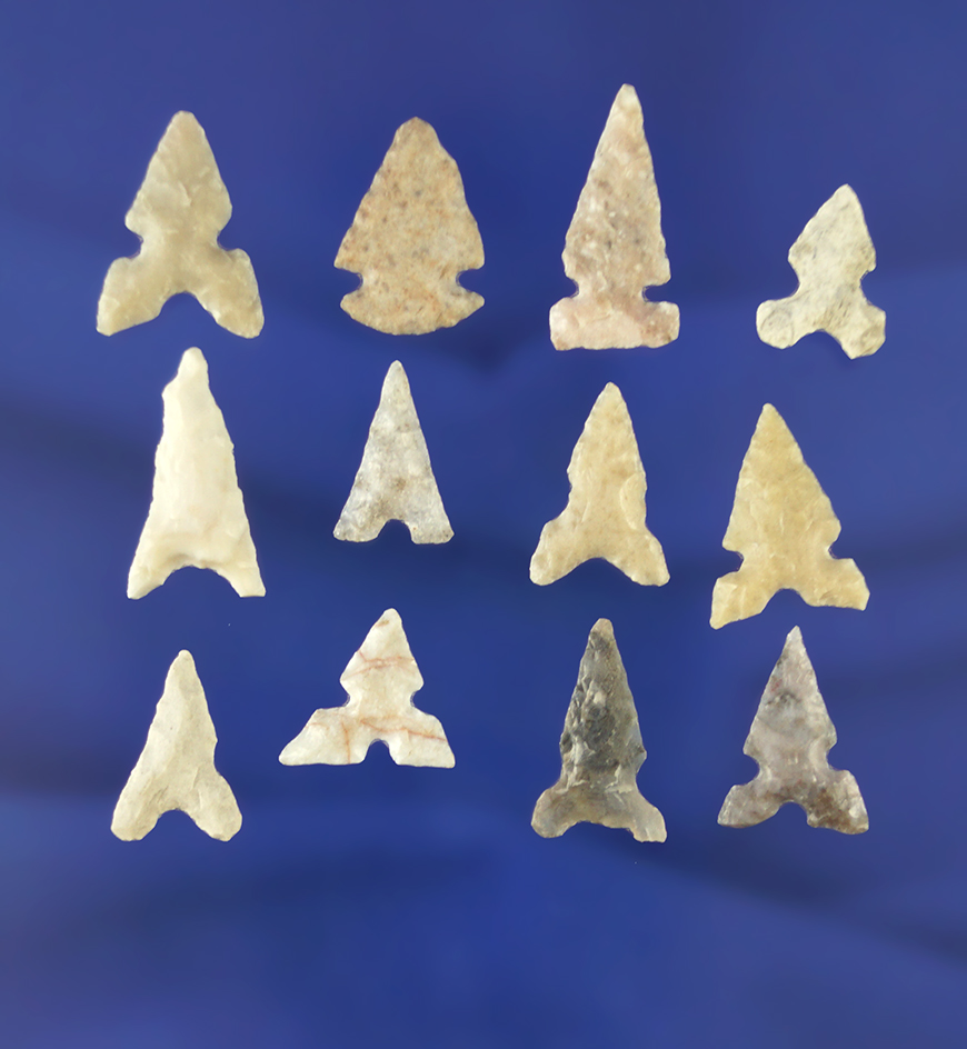 Set of 12 assorted Bird Points found in Texas, largest is 3/4".