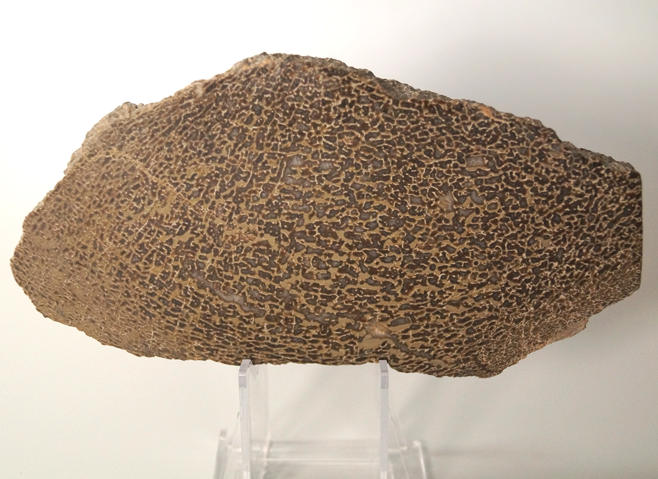 Main artifact image