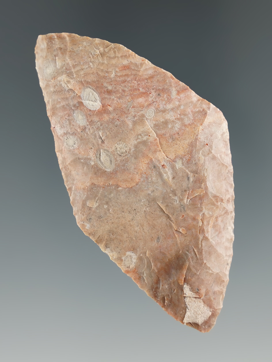 Main artifact image