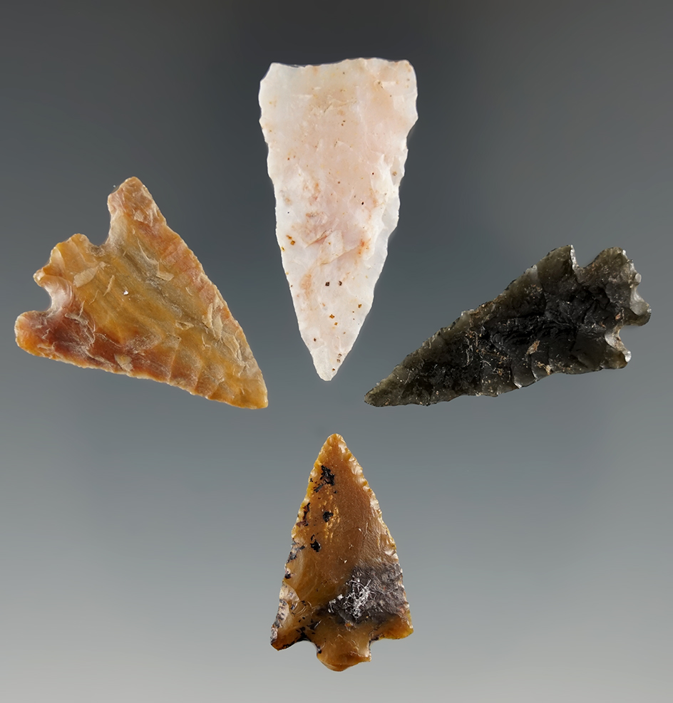 Set of four Columbia River gem points found in Franklin Co., Washington. Largest is 1 1/4".
