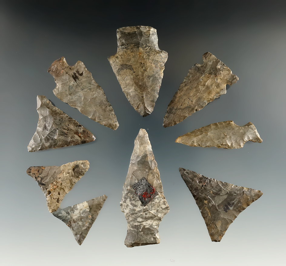 Group of nine nice assorted points found in New York, largest is 2 7/16".