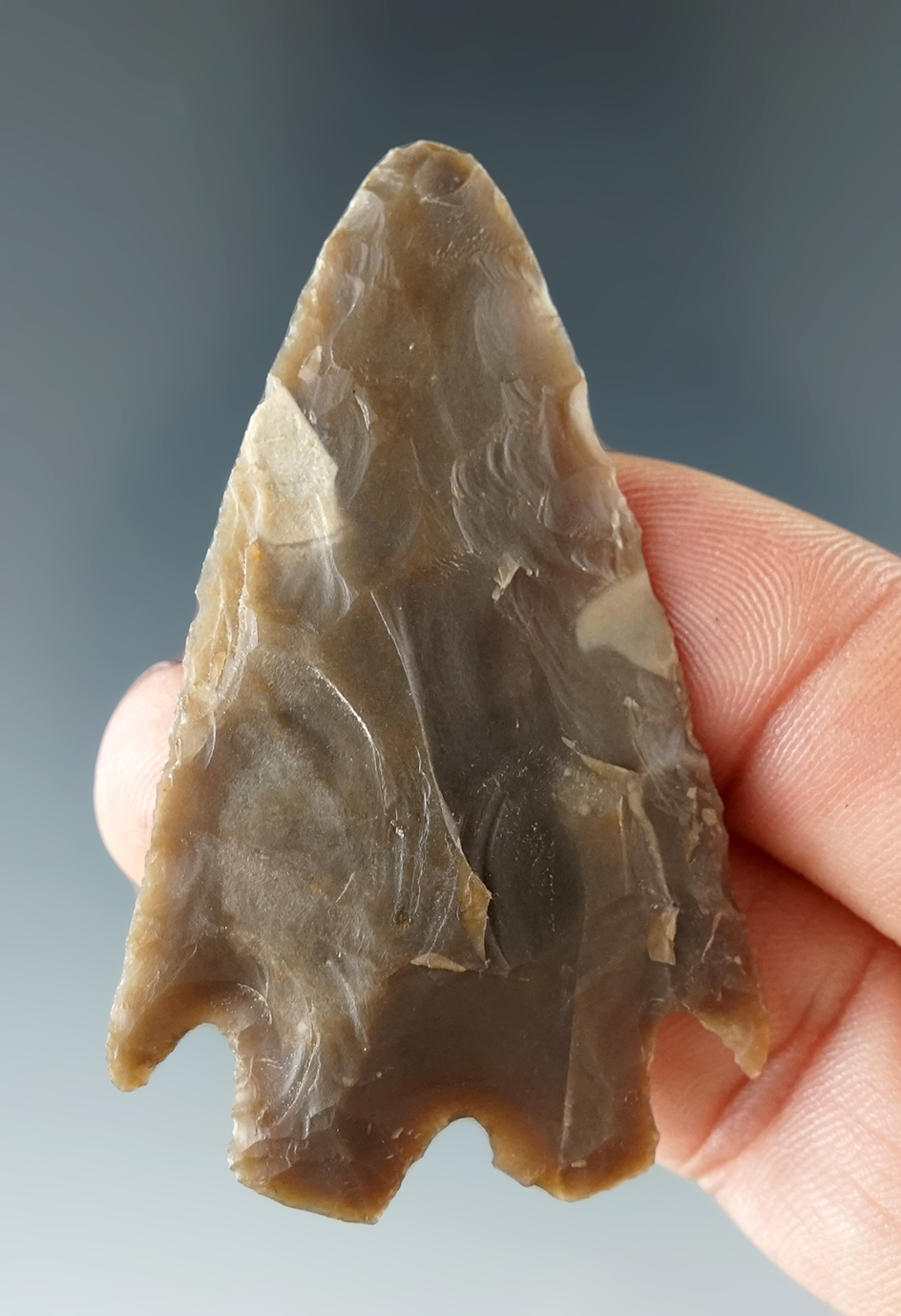 Main artifact image