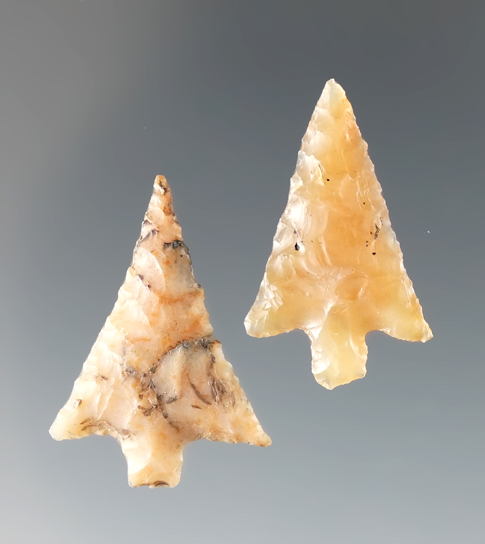 Pair very colorful Walulla points found near the Columbia River, largest is 1".