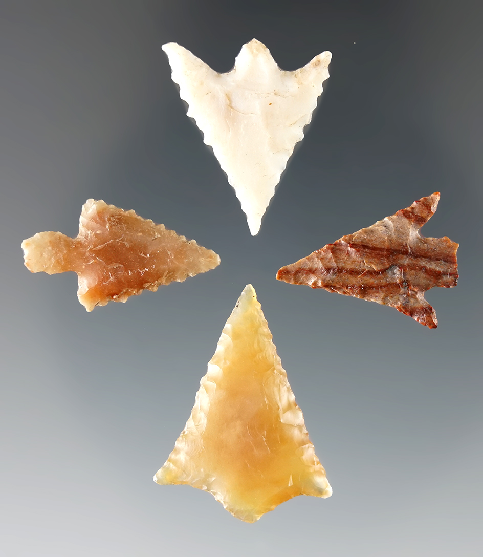 Four very nice Columbia River Gem points, largest is 1 1/16".