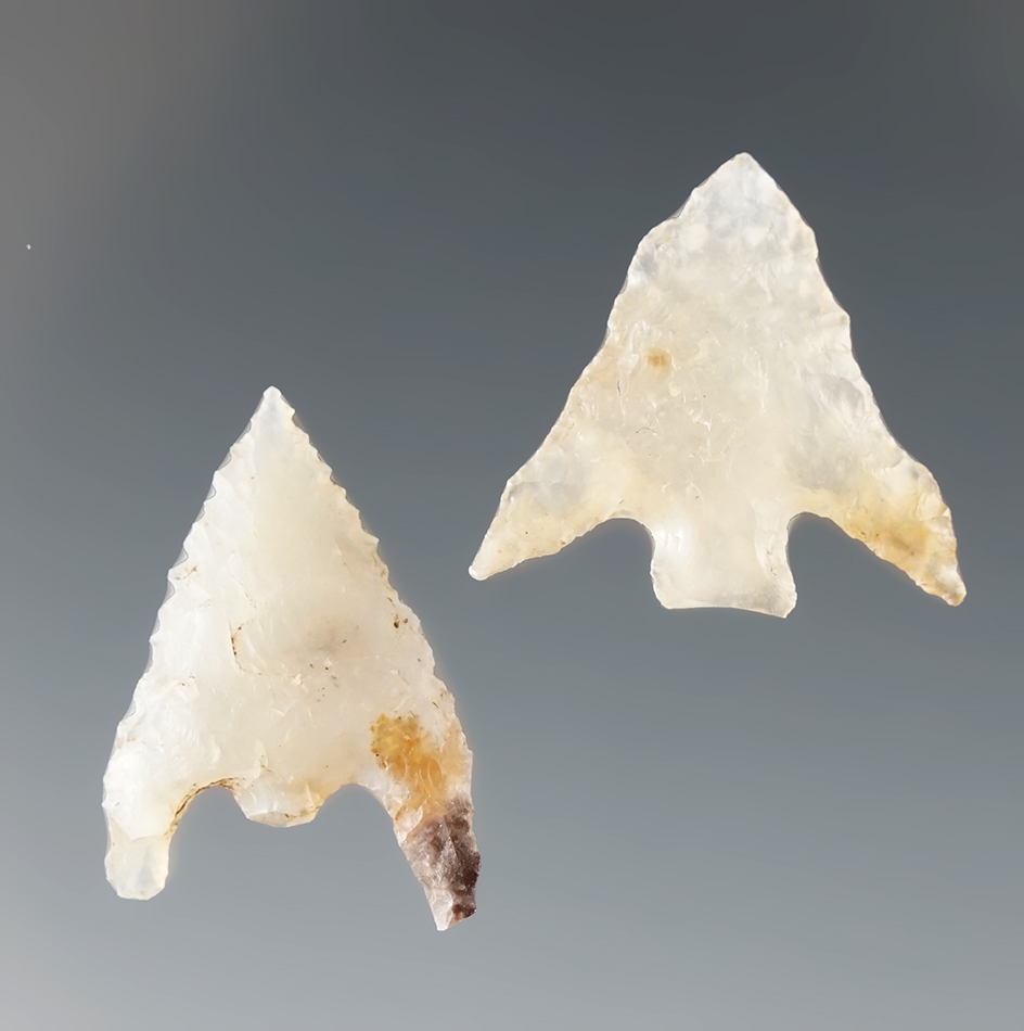 2 beautifully translucent arrowheads, largest is 3/4". Found by Rob Roy near Klamath Lake, OR.