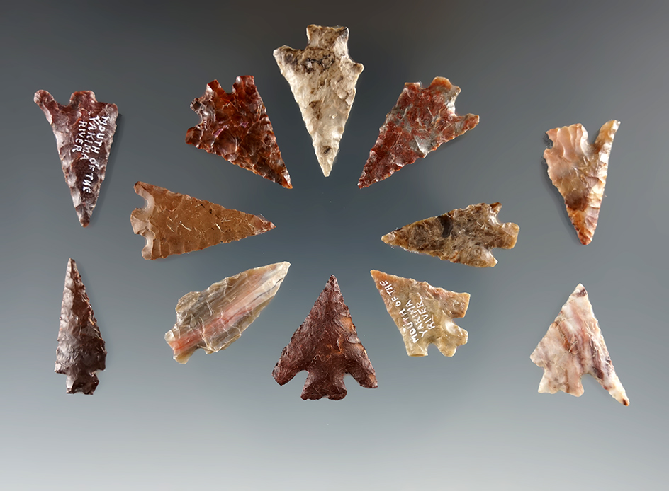 Set of 12 assorted Columbia River arrowheads found by Kaye Don Bruce. Largest is 15/16".