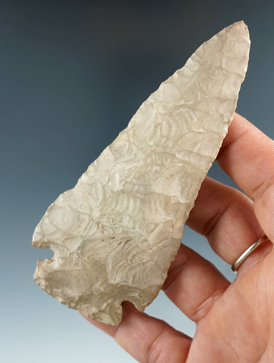 Main artifact image