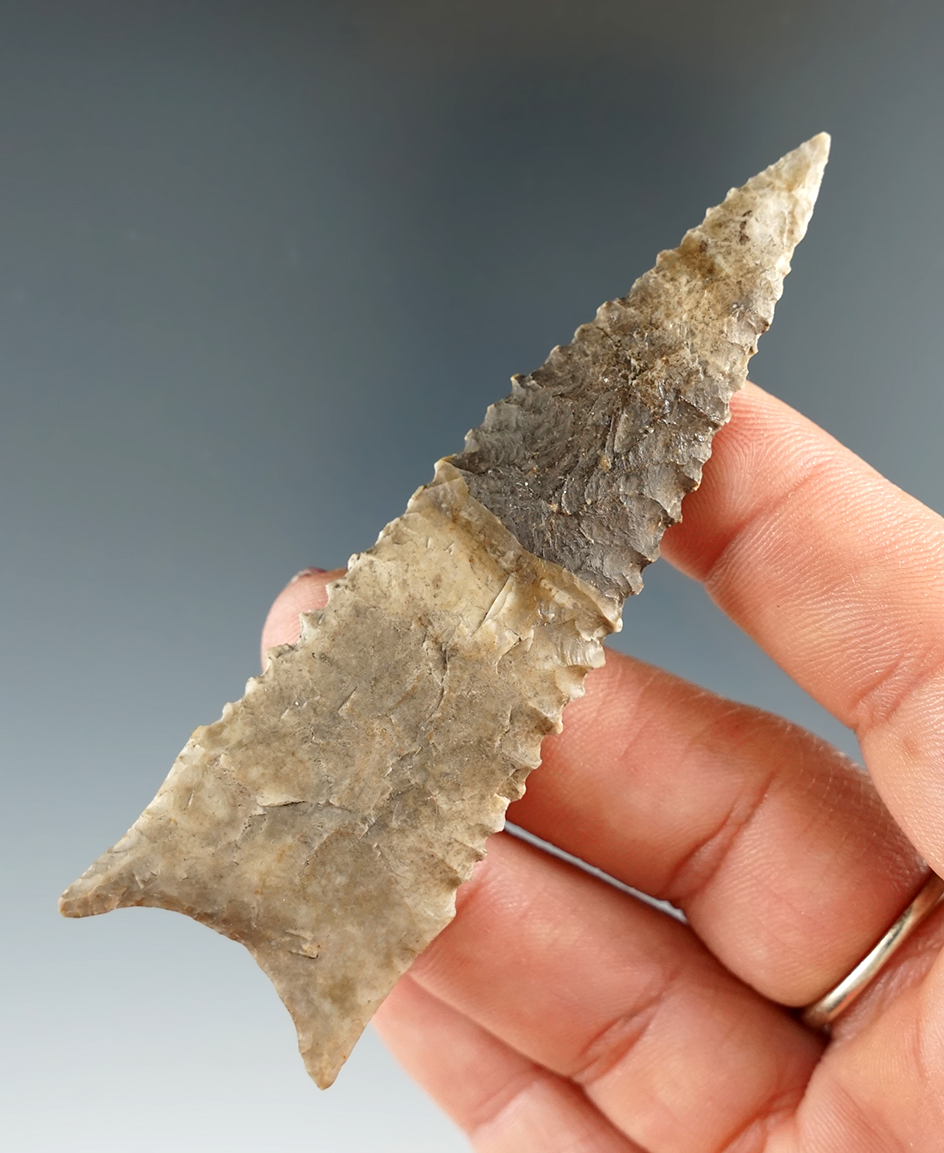 3 1/2" beautifully serrated Dalton which is broken and glued near the tip found in Florida.