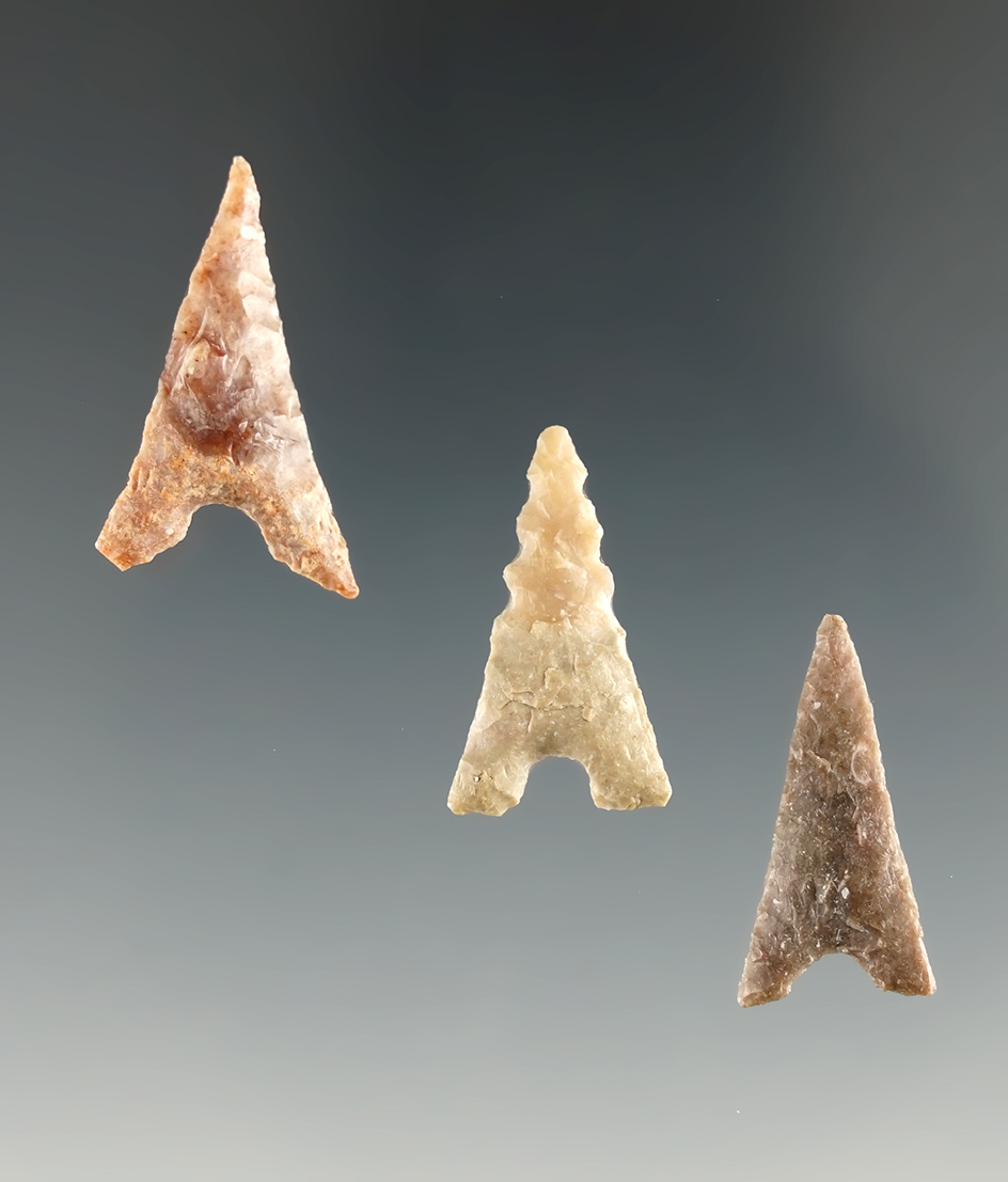 Set of three Garza points found in Texas, largest is 1".